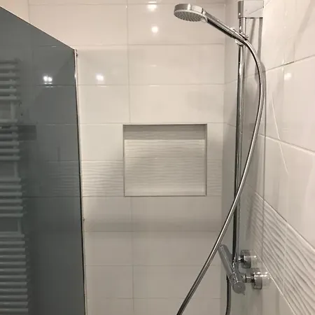 - Appart Orchidée - Coeur De - - Soirée étape Vrp - Capacité 1 à 4 Personnes - Accès Piscine Et Jardin Lunéville